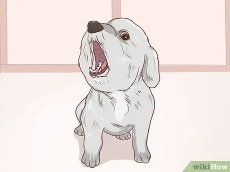 Image intitulée Communicate With Your Dog Step 10