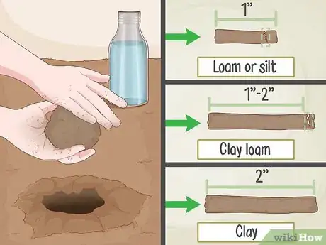 Image intitulée Improve Soil Step 10