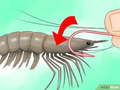 Image intitulée Hook a Shrimp Step 1Bullet2