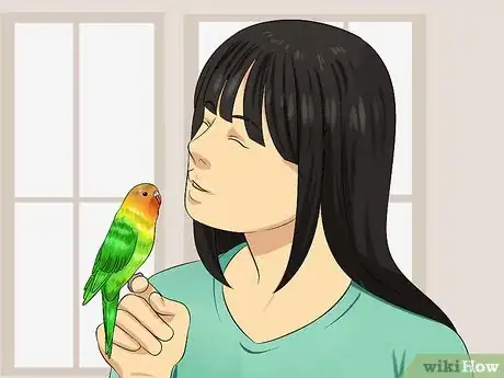 Image intitulée Tell if Your Pet Budgie Likes You Step 14