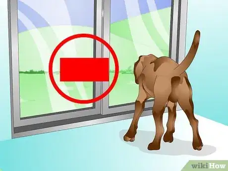 Image intitulée Care for a Sick Dog Step 11