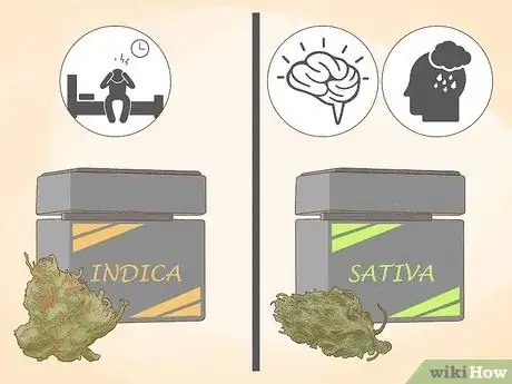 Image intitulée Tell the Difference Between Indica and Sativa Step 6