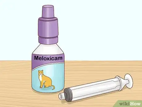 Image intitulée Reduce Fever in Cats Step 10