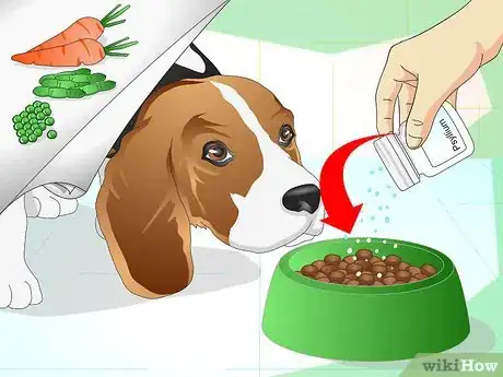 Image intitulée Treat Dog Constipation Step 4