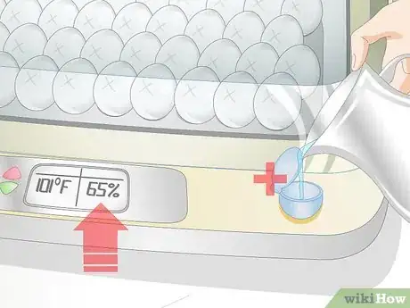 Image intitulée Use an Incubator to Hatch Eggs Step 24