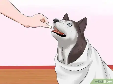 Image intitulée Bathe a Dog and Keep It Calm Step 18