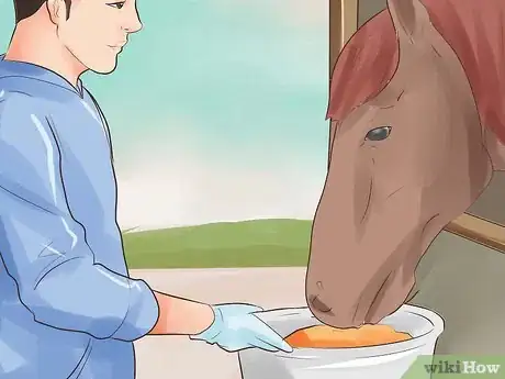 Image intitulée Treat Stomach Ulcers in Horses Step 1