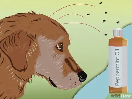 Image intitulée Control Fleas by Using Peppermint Step 2