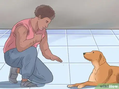 Image intitulée Teach a Dog to Crawl Step 9