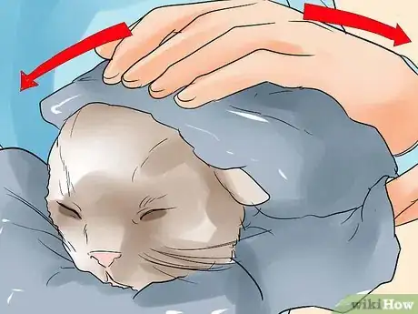 Image intitulée Help a Cat Give Birth Step 17