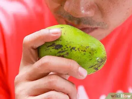 Image intitulée Ripen Mangoes Step 4