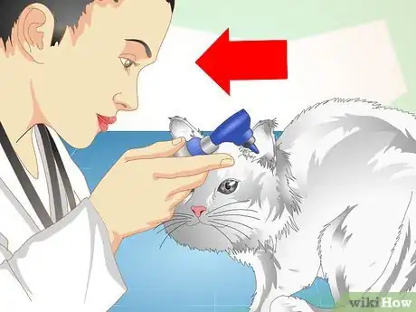 Image intitulée Check Cats for Ear Mites Step 5