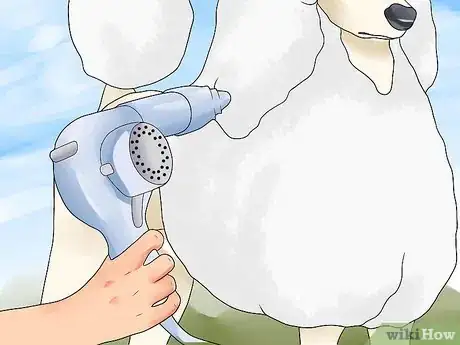 Image intitulée Blow Dry a Poodle Step 9