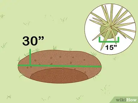 Image intitulée Care for a Madagascar Dragon Tree Step 17