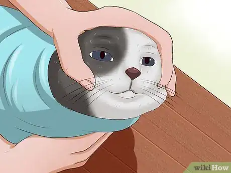 Image intitulée Give a Cat a Pill Step 13