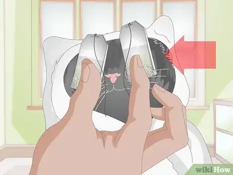 Image intitulée Clean Gunk from Your Cat's Eyes Step 7