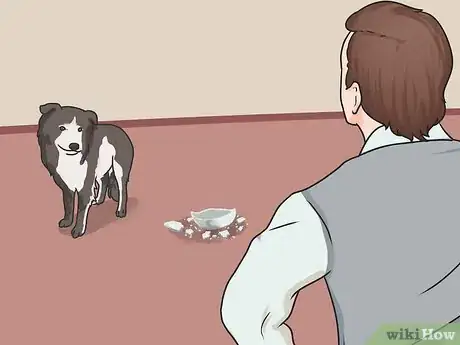 Image intitulée Introduce a New Dog to Your House and Other Dogs Step 36