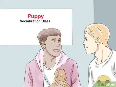 Image intitulée Take Care of a Pitbull Puppy Step 13