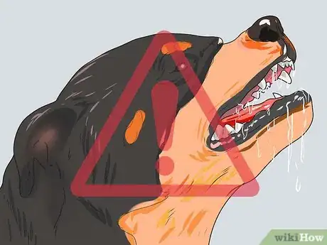 Image intitulée Approach a Stray Dog Step 3