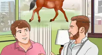 savoir si son cheval a un problème au jarret