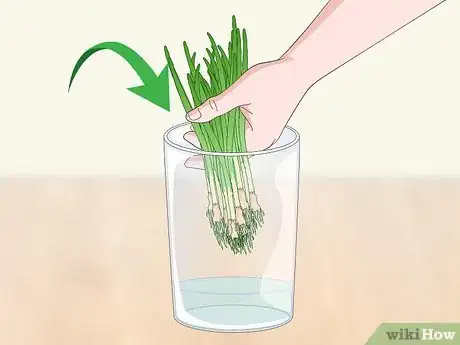 Image intitulée Keep Green Onions Fresh Step 9