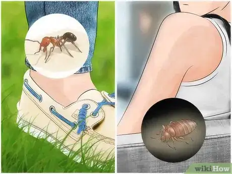 Image intitulée Identify Insect Bites Step 1