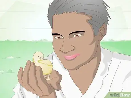 Image intitulée Care for a Chick Step 6