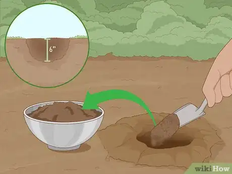 Image intitulée Improve Soil Step 17