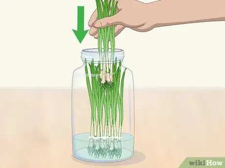 Image intitulée Keep Green Onions Fresh Step 2