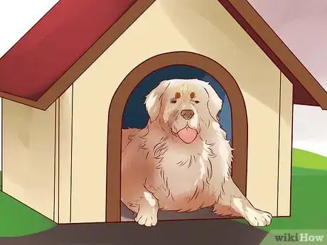 Image intitulée Love Your Dog Step 9