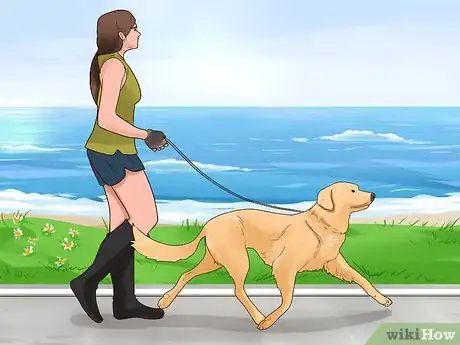 Image intitulée Train Your Dog for a Dog Show Step 5