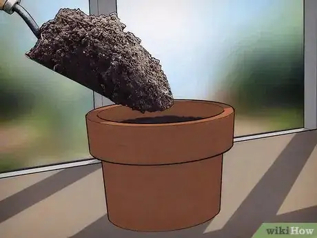 Image intitulée Grow an Avocado Tree Step 9