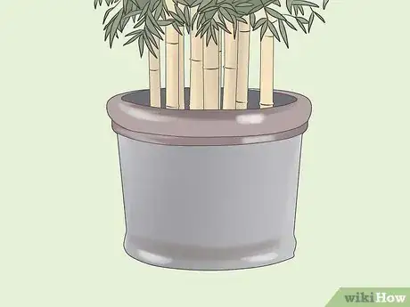 Image intitulée Get Rid of Bamboo Step 8