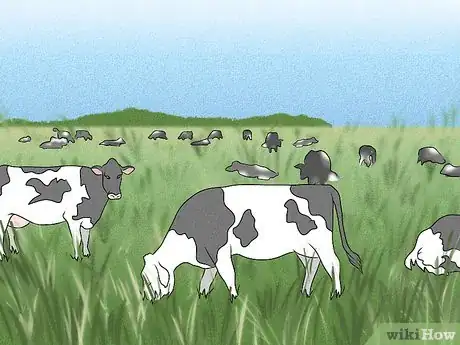 Image intitulée Determine How Many Acres of Pasture are Required For Your Cattle Step 8