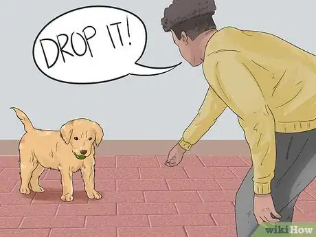 Image intitulée Train a Golden Retriever Puppy Step 40