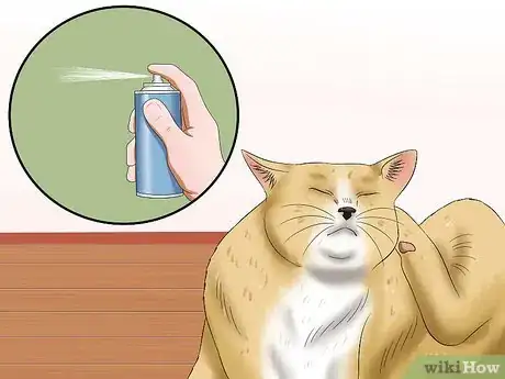 Image intitulée Stop a Cat from Pulling Its Hair Out Step 2