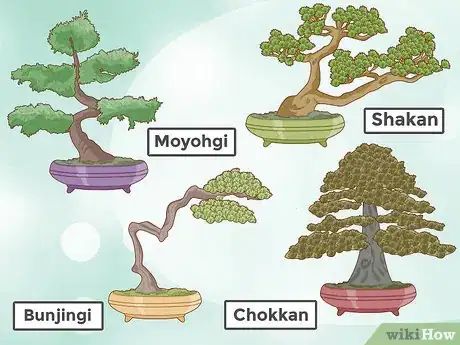Image intitulée Grow and Care for a Bonsai Tree Step 9