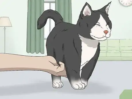 Image intitulée Soothe Your Cat With a Massage Step 10