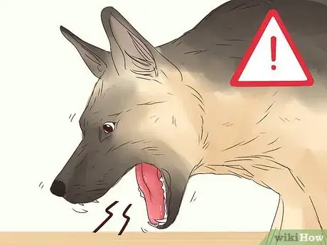 Image intitulée Stop a Dog from Eating Too Fast Step 13