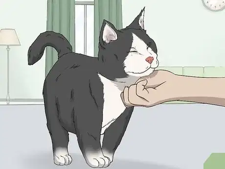 Image intitulée Soothe Your Cat With a Massage Step 11