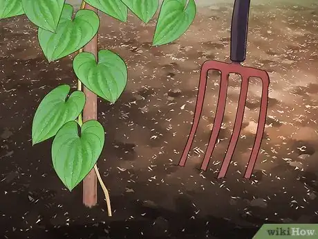 Image intitulée Grow Yams Step 13