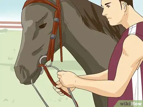 Image intitulée Break a Horse Step 9