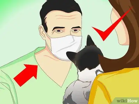 Image intitulée Get Rid of Dry Skin on Cats Step 5