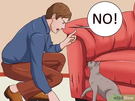 Image intitulée Stop a Cat from Clawing Furniture Step 7