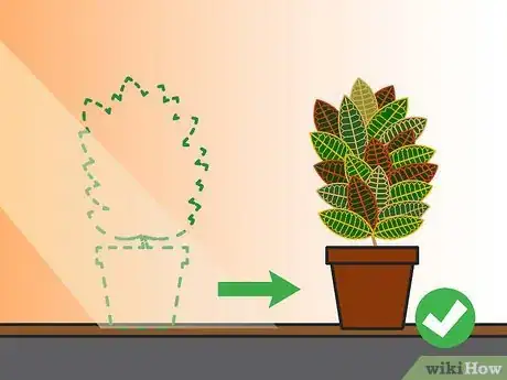 Image intitulée Care for a Croton Plant Step 16