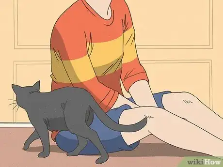 Image intitulée Keep a Cat from Running Away when It Is Moved Step 10