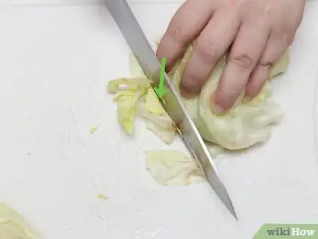 Image intitulée Shred Lettuce Step 5