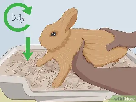 Image intitulée Care for Dwarf Rabbits Step 15