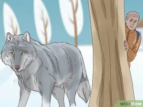 Image intitulée Survive a Wolf Attack Step 1