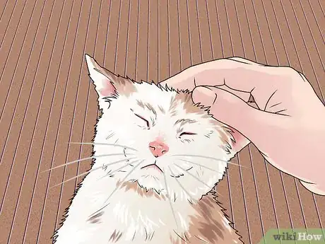 Image intitulée Treat a Cat Bite Step 13